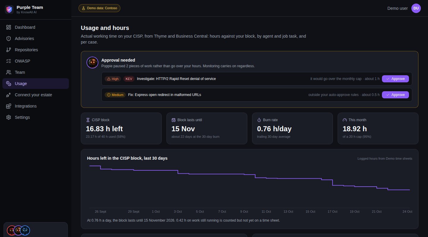 Purple Team Portal, Usage and hours page, for the fictional company Contoso: Time spent per case, by agent and by job, against your plan